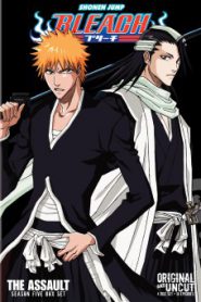 Bleach บลีช เทพมรณะ Season 5