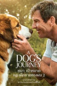 A Dog’s Journey (2019) หมา เป้าหมาย และเด็กชายของผม 2