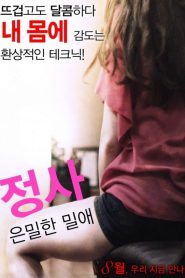Love Affair A Secret Affair (2016) [เกาหลี 18+]