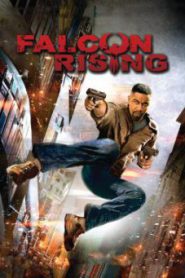 Falcon Rising (2014) ฟัลคอน ไรซิ่ง ผงานล่าแค้น (Soundtrack ซับไทย)