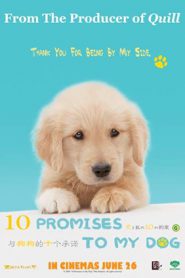 10 Promises to My Dog (2008) 10 ข้อสัญญาน้องหมาของฉัน