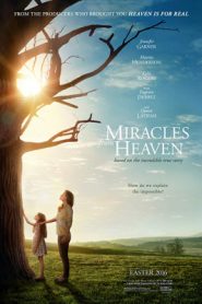 Miracle from Heaven (2016) ปฎิหาริย์จากสวรรค์