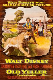 Old Yeller (1957) เพื่อนแท้คู่ชีวิต สุนัขล่าคู่ชีวิต