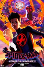 Spider-Man: Across the Spider-Verse (2023) : สไปเดอร์-แมน: ผงาดข้ามจักรวาลแมงมุม