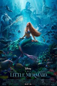 The Little Mermaid (2023) เงือกน้อยผจญภัย | ไทยโรง