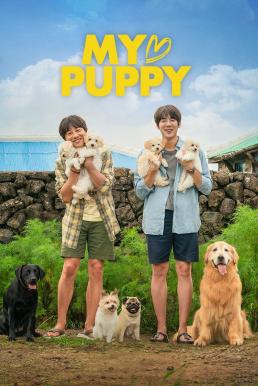 My Puppy (My Heart Puppy) (2023) บรรยายไทย