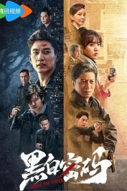 ซีรี่ย์จีน Chase The Truth (2023) ซับไทย