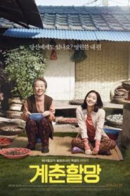 Canola (2016) บรรยายไทย