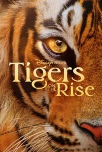 Tigers on the Rise (2024) Disney+ บรรยายไทย