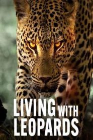 Living with Leopards อยู่กับเสือดาว (2024) NETFLIX บรรยายไทย