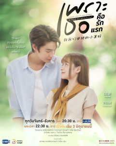 A Love So Beautiful เพราะเธอคือรักแรก (2024)