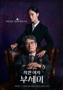 ซีรี่ย์เกาหลี Ms.Incognito (2025) ภารกิจลับบอดี้การ์ดสาว ซับไทย